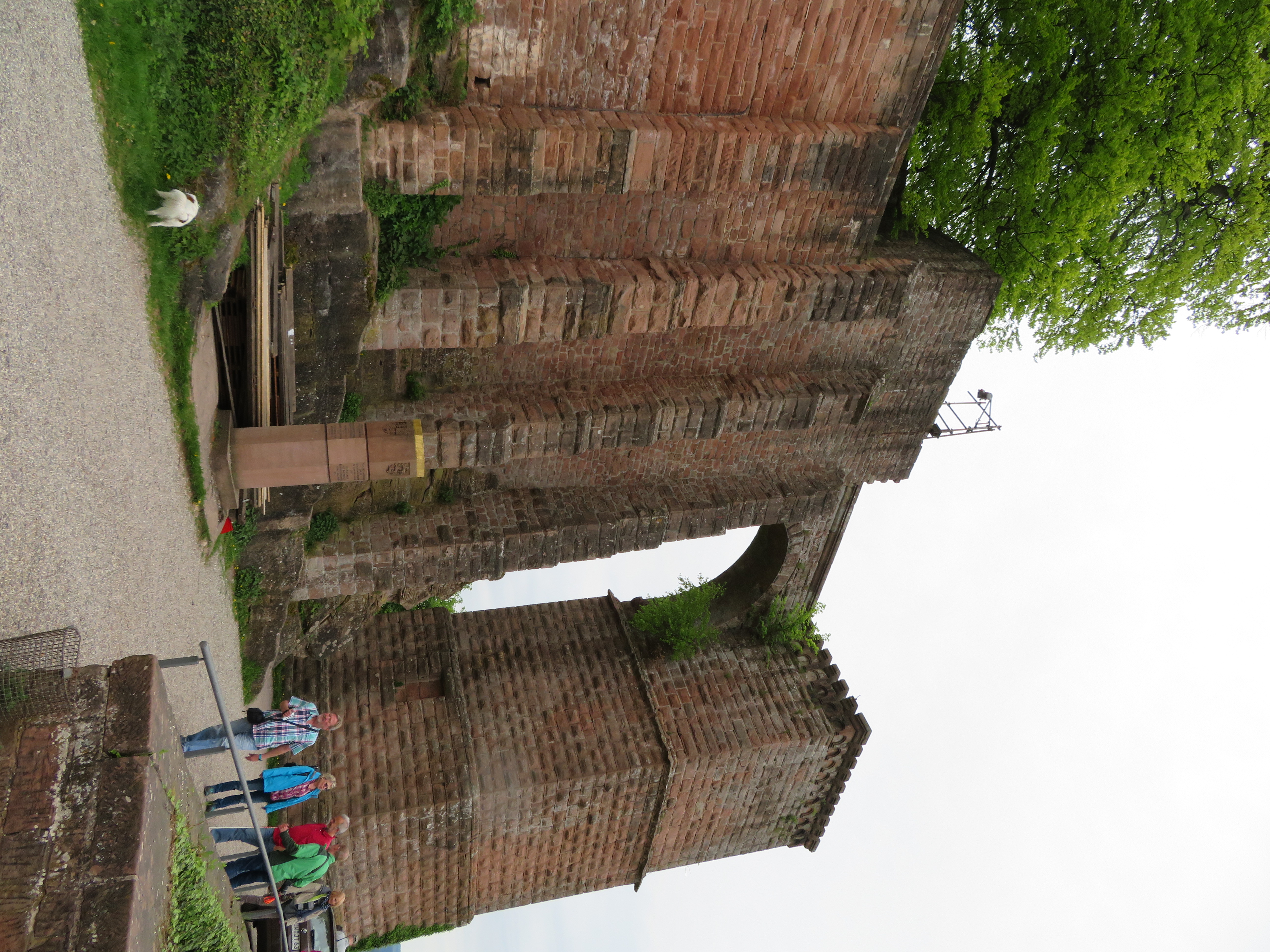 Ein Kurzreise in die Pfalz im Frühjahr 2018