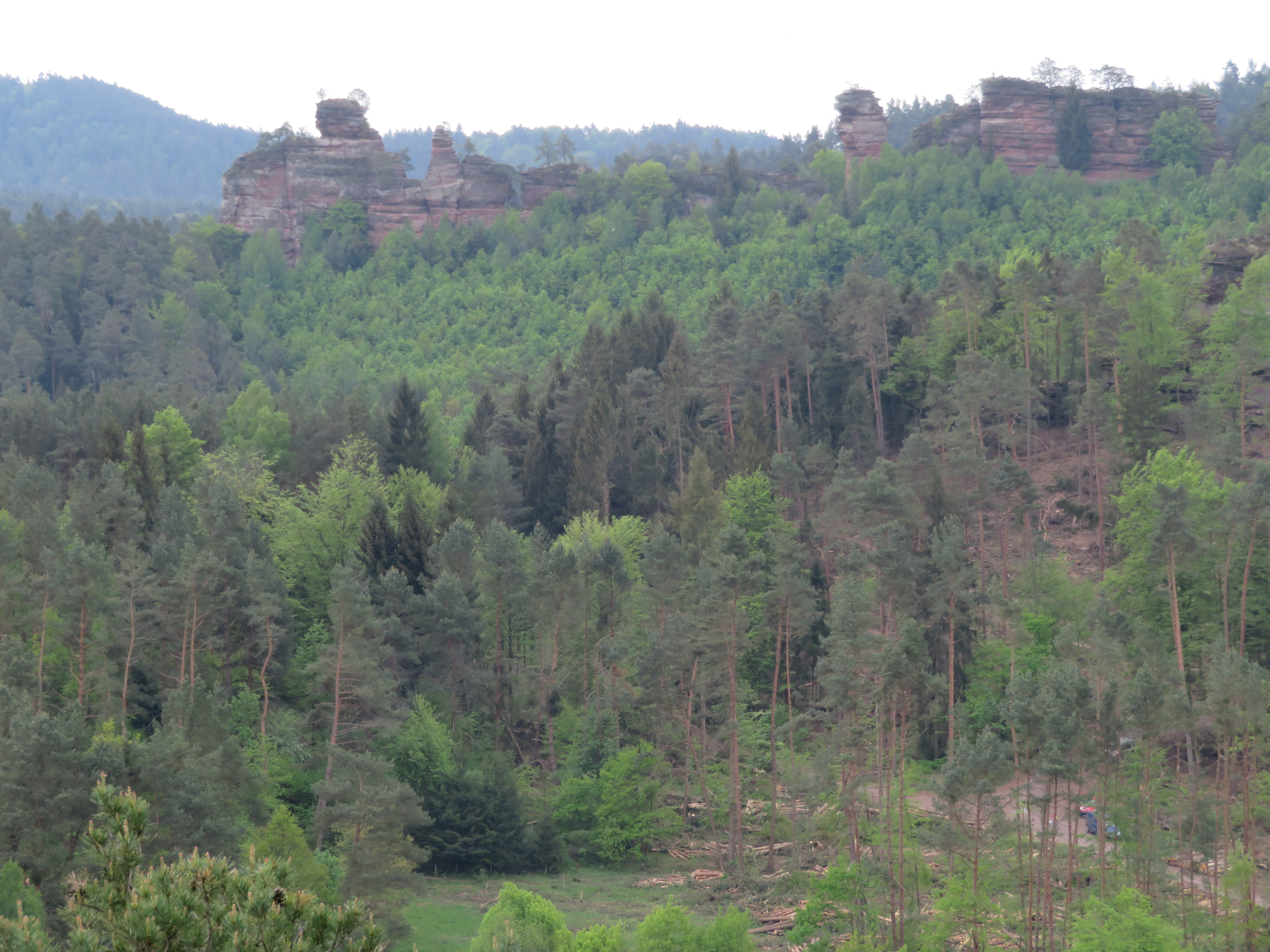 Ein Kurzreise in die Pfalz im Frühjahr 2018