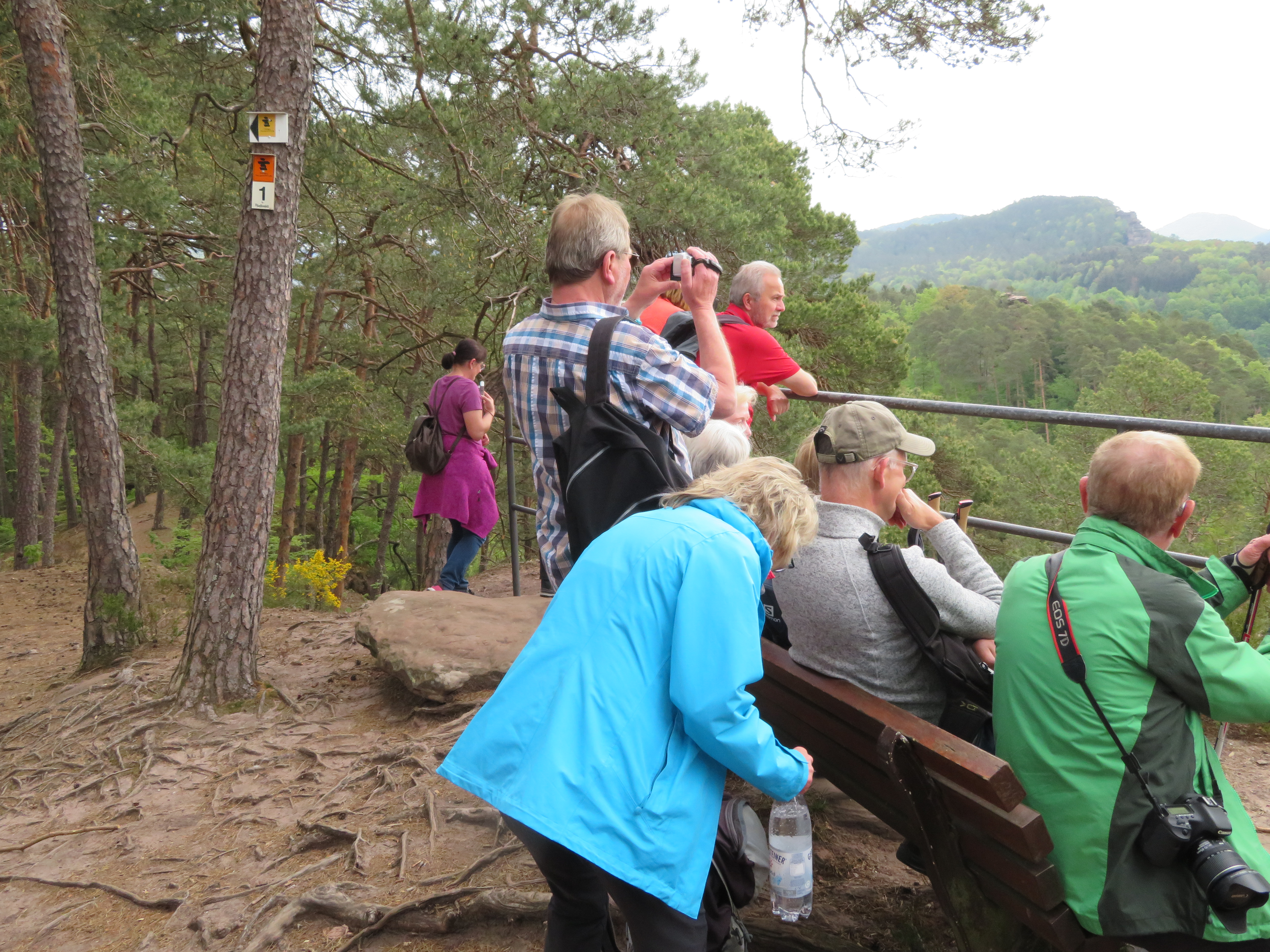 Ein Kurzreise in die Pfalz im Frühjahr 2018