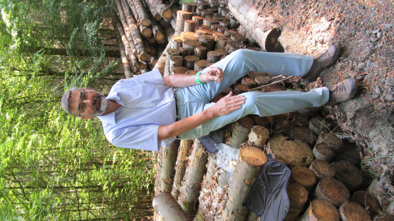 Ein Kurzreise in die Pfalz im Frühjahr 2018